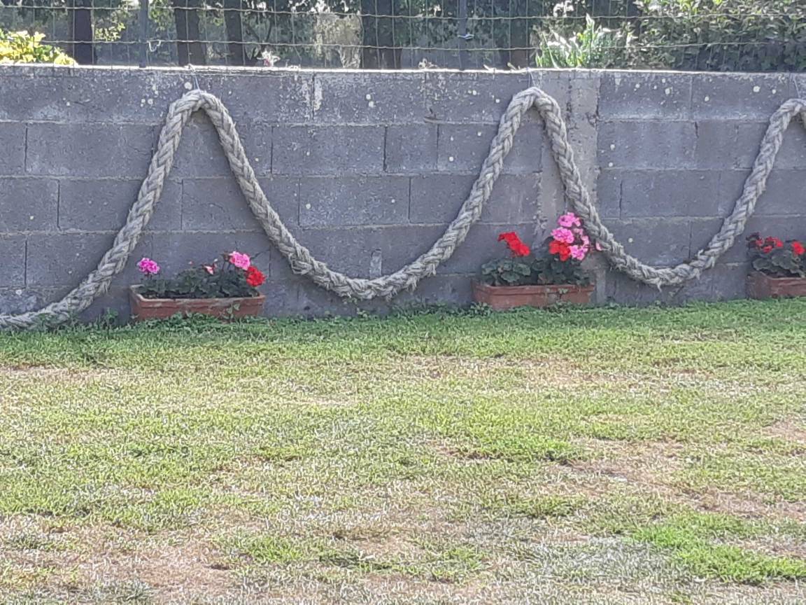 foto24