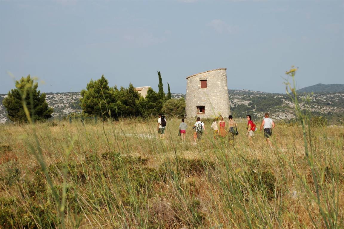 foto12