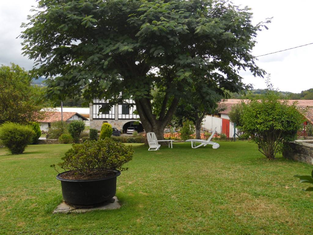 foto21
