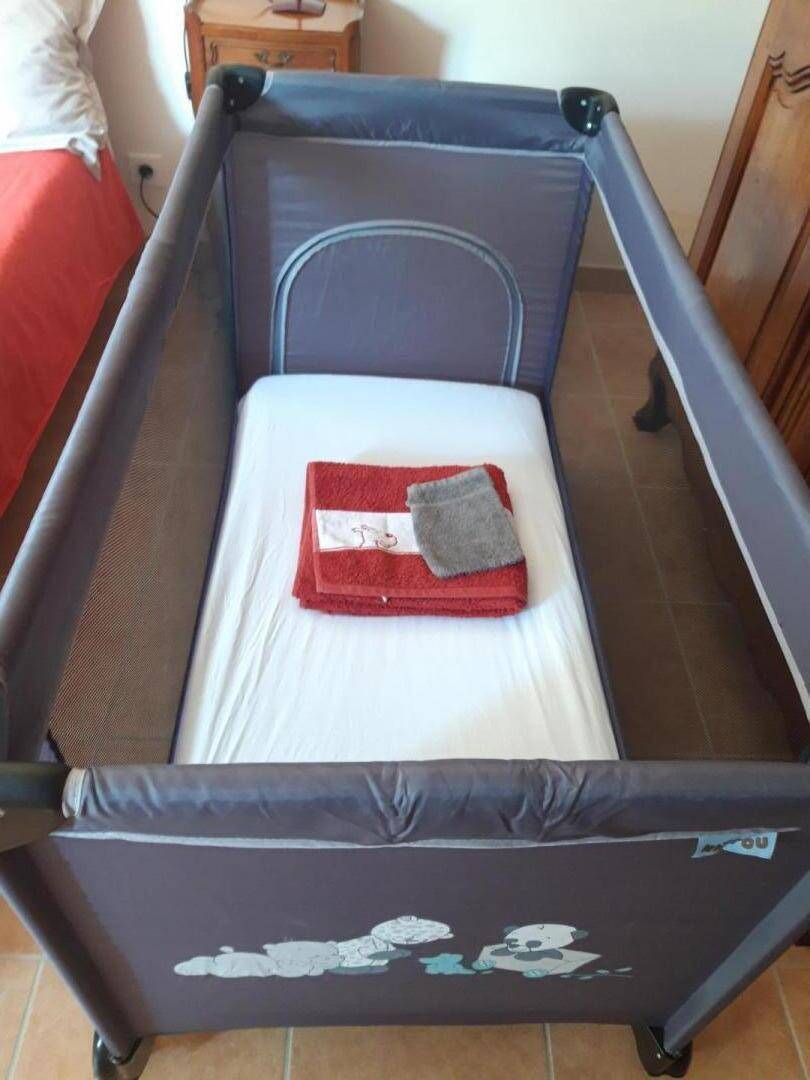foto31