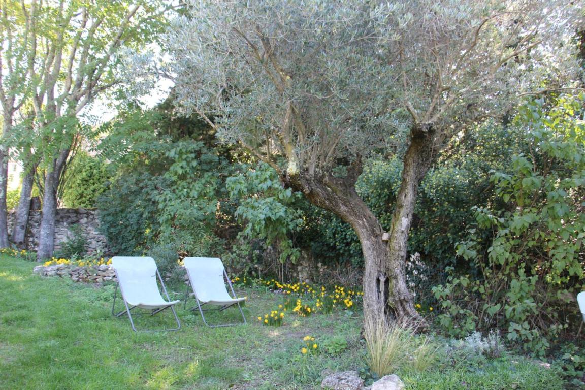 foto34