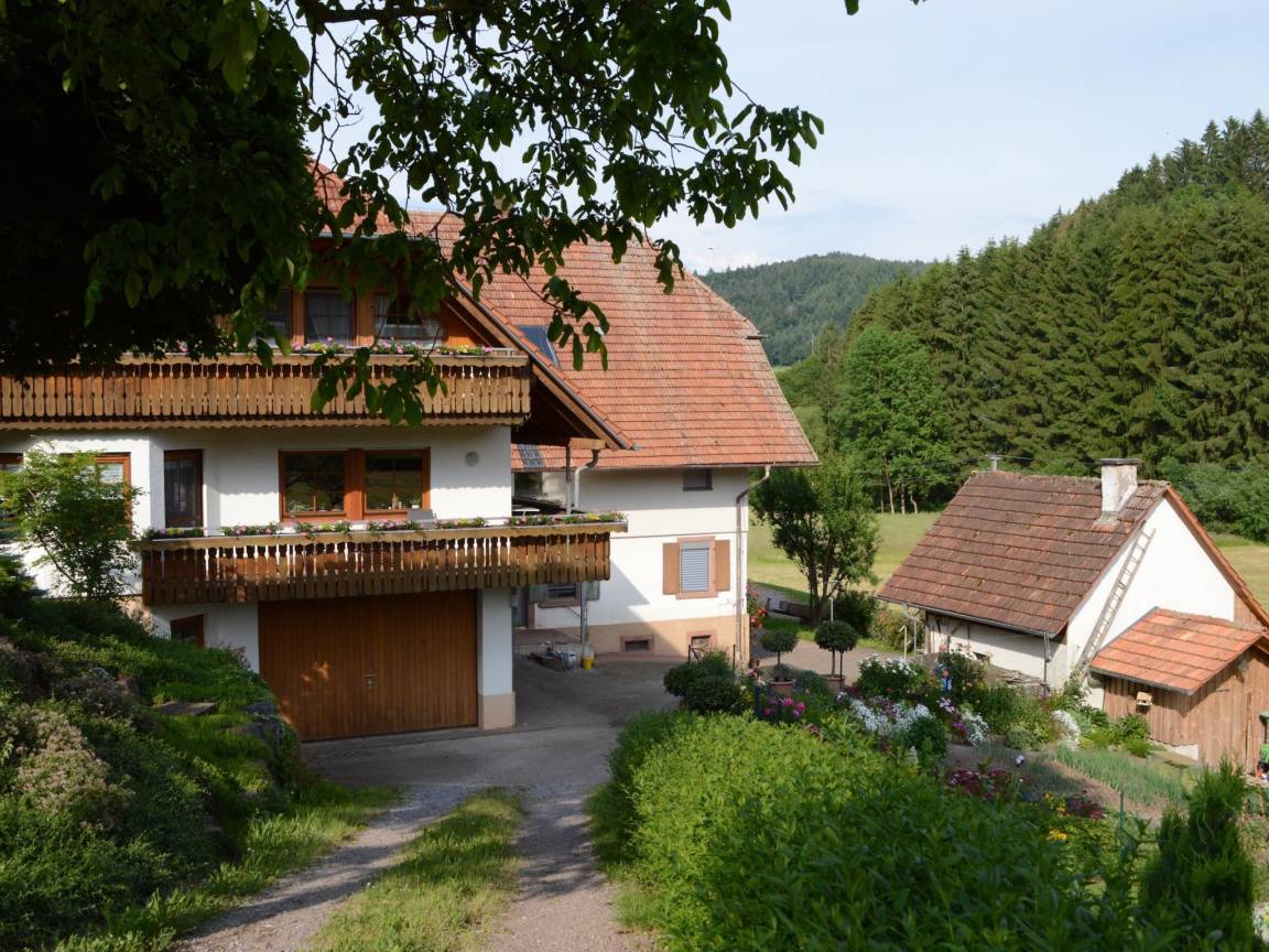 foto1