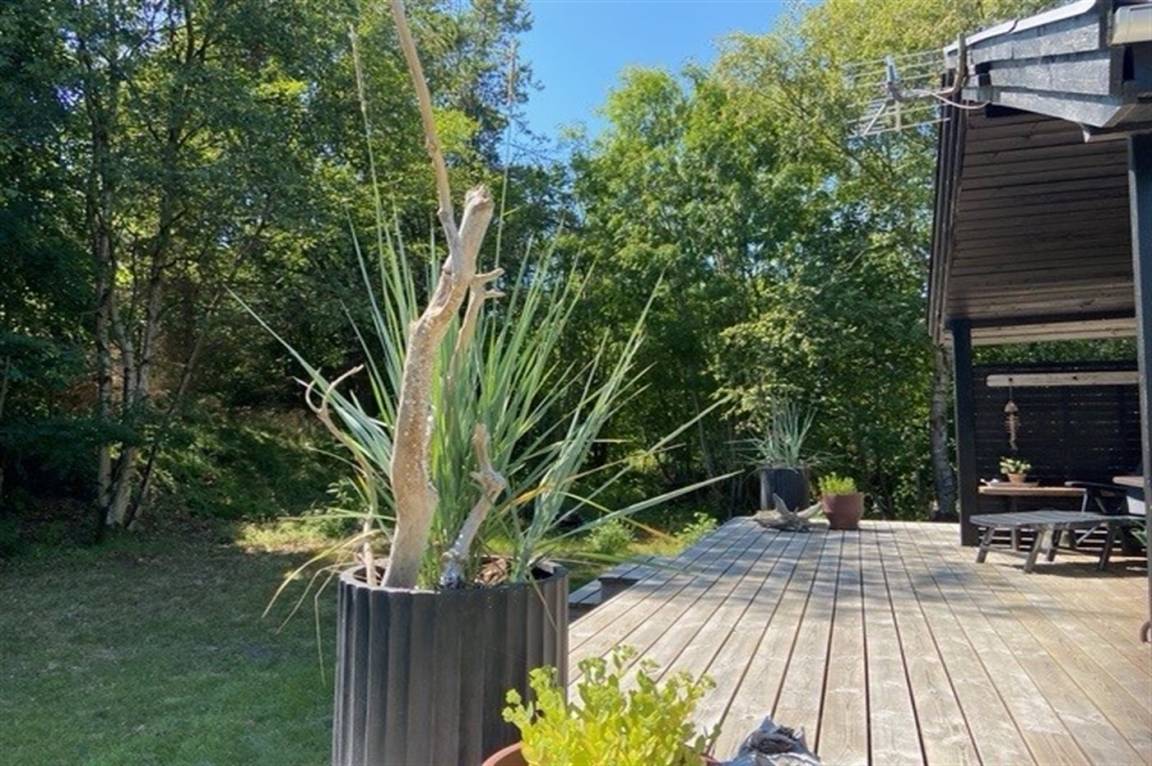 foto16