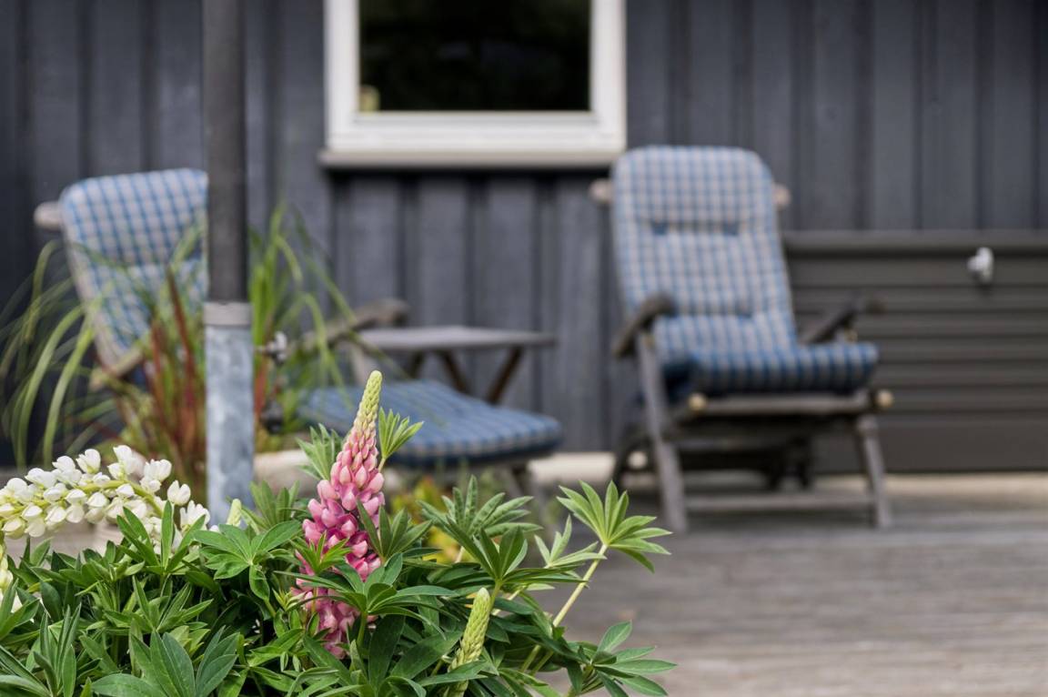 foto26