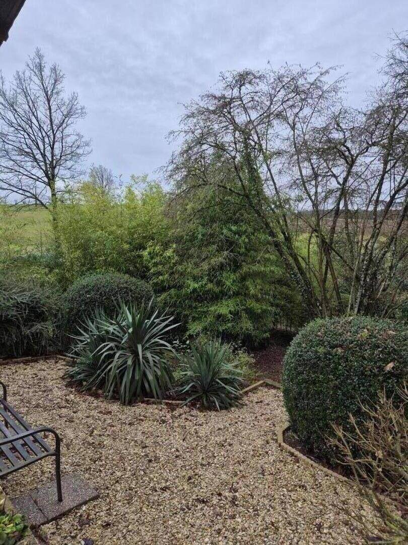 foto20