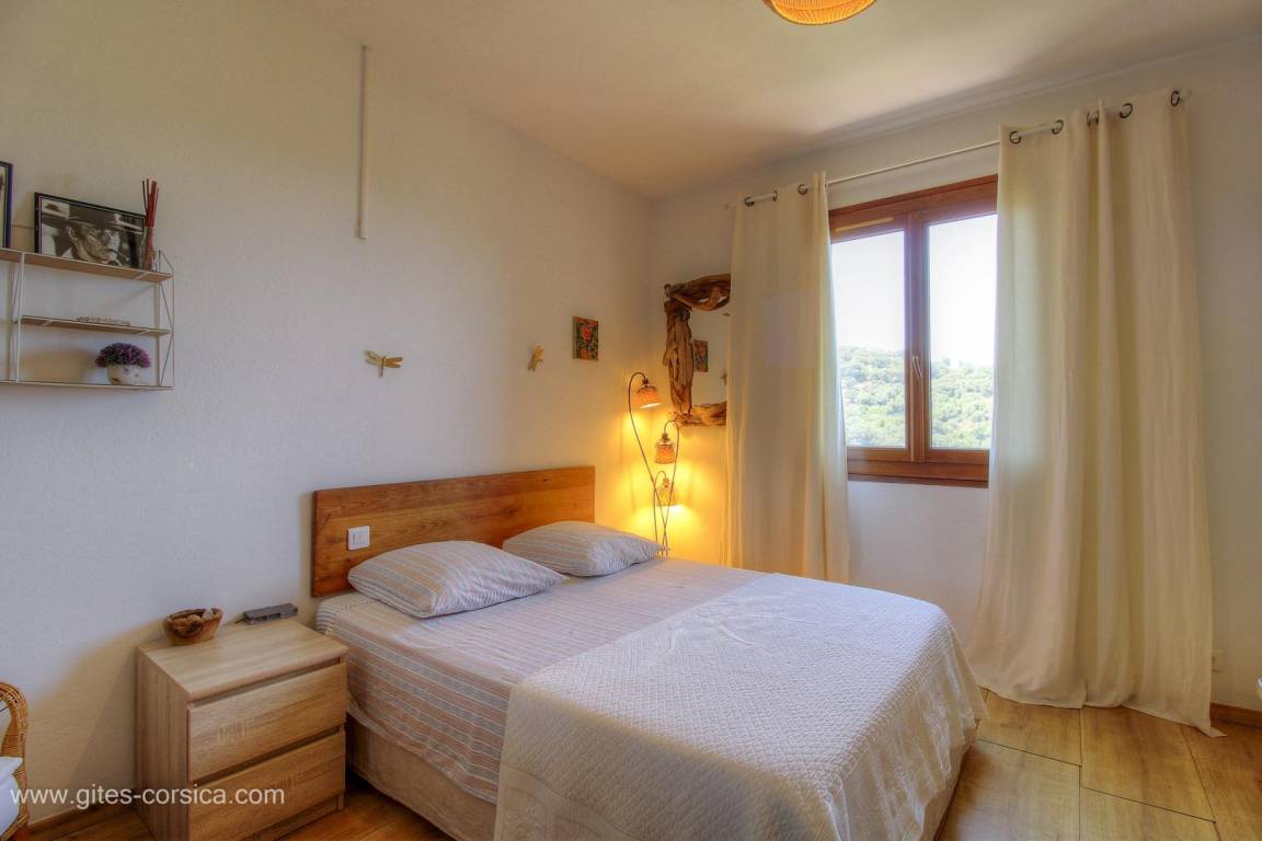 foto19