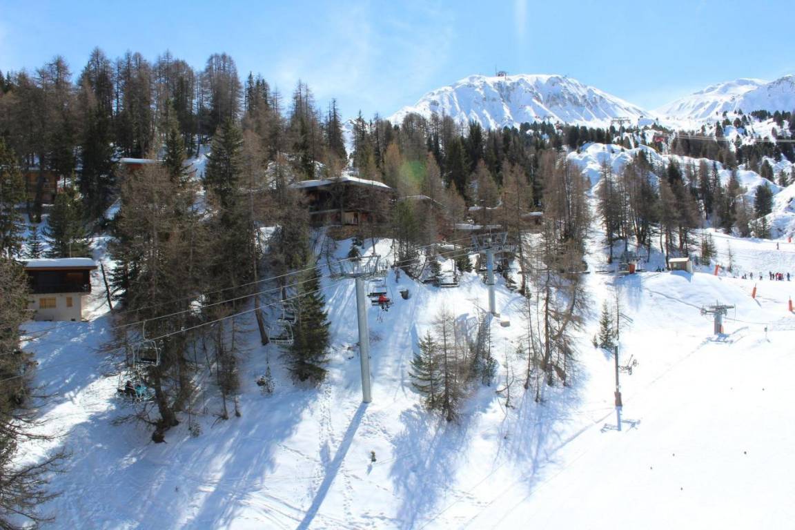 foto2