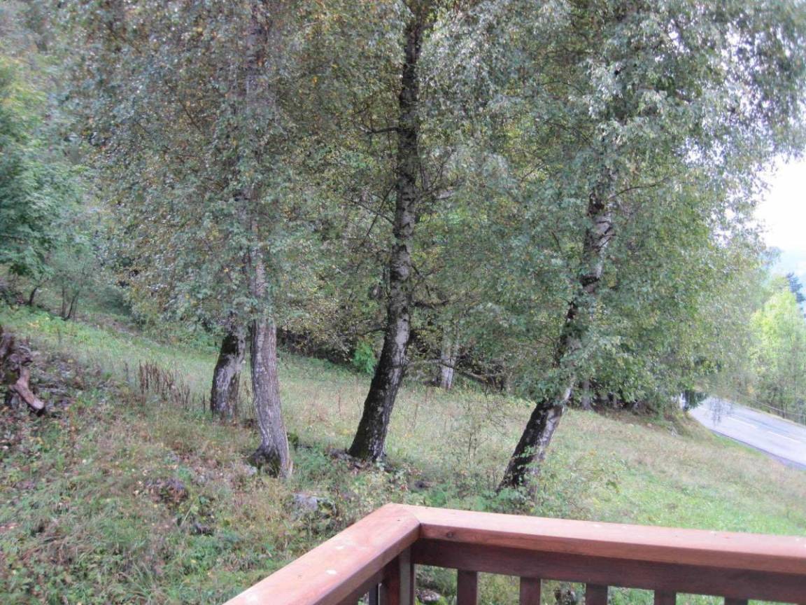 foto11