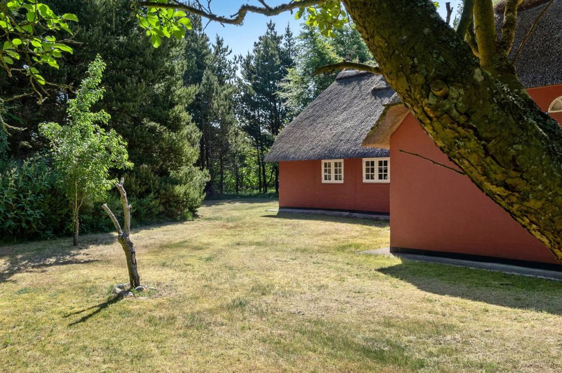 foto11