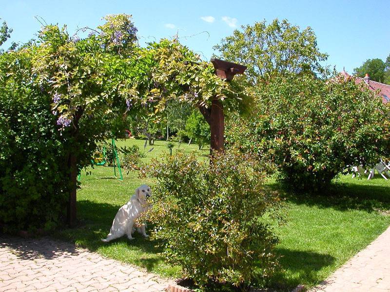 foto15