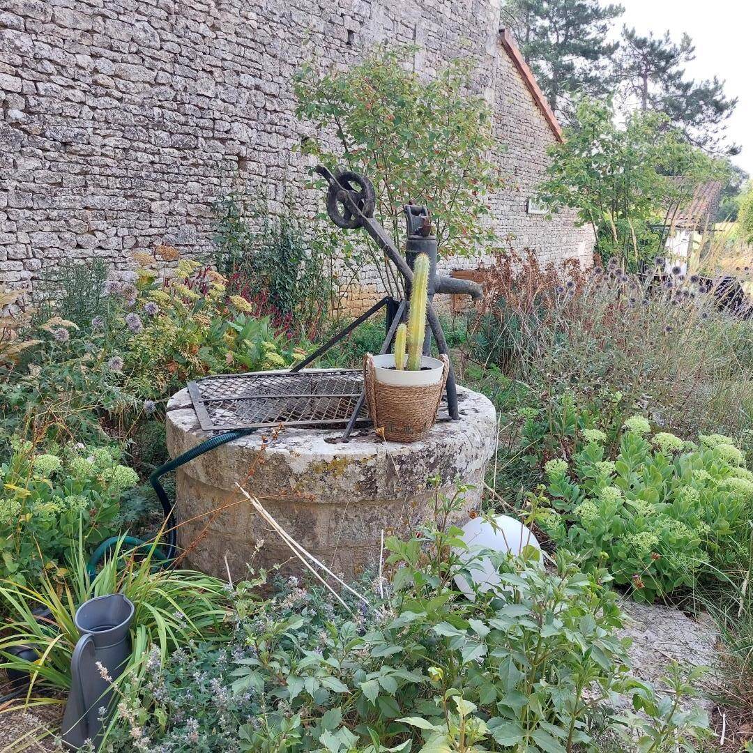foto10