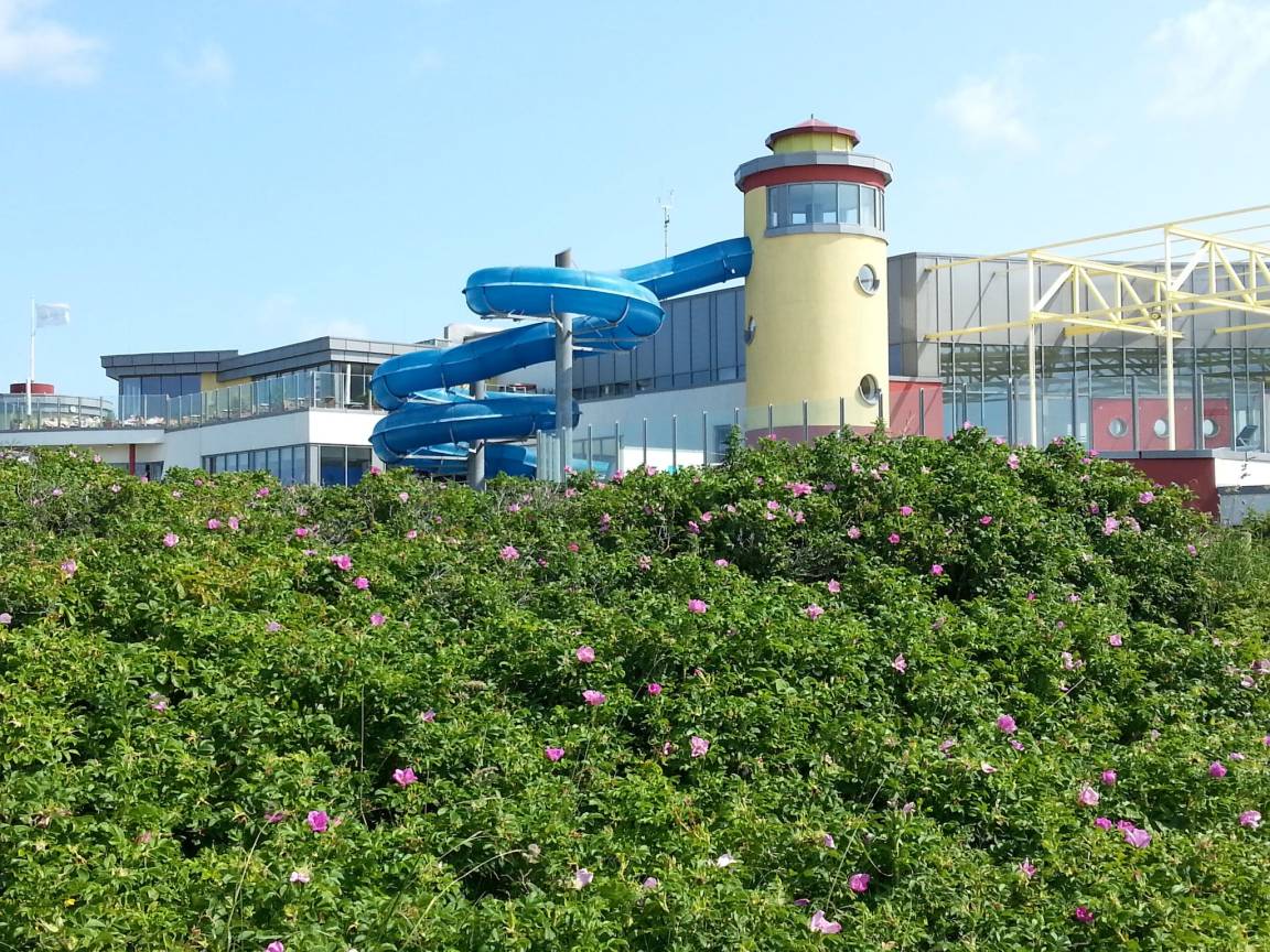 40 M² Ferienwohnung ∙ 1 Schlafzimmer ∙ 2 Gäste - Borkum