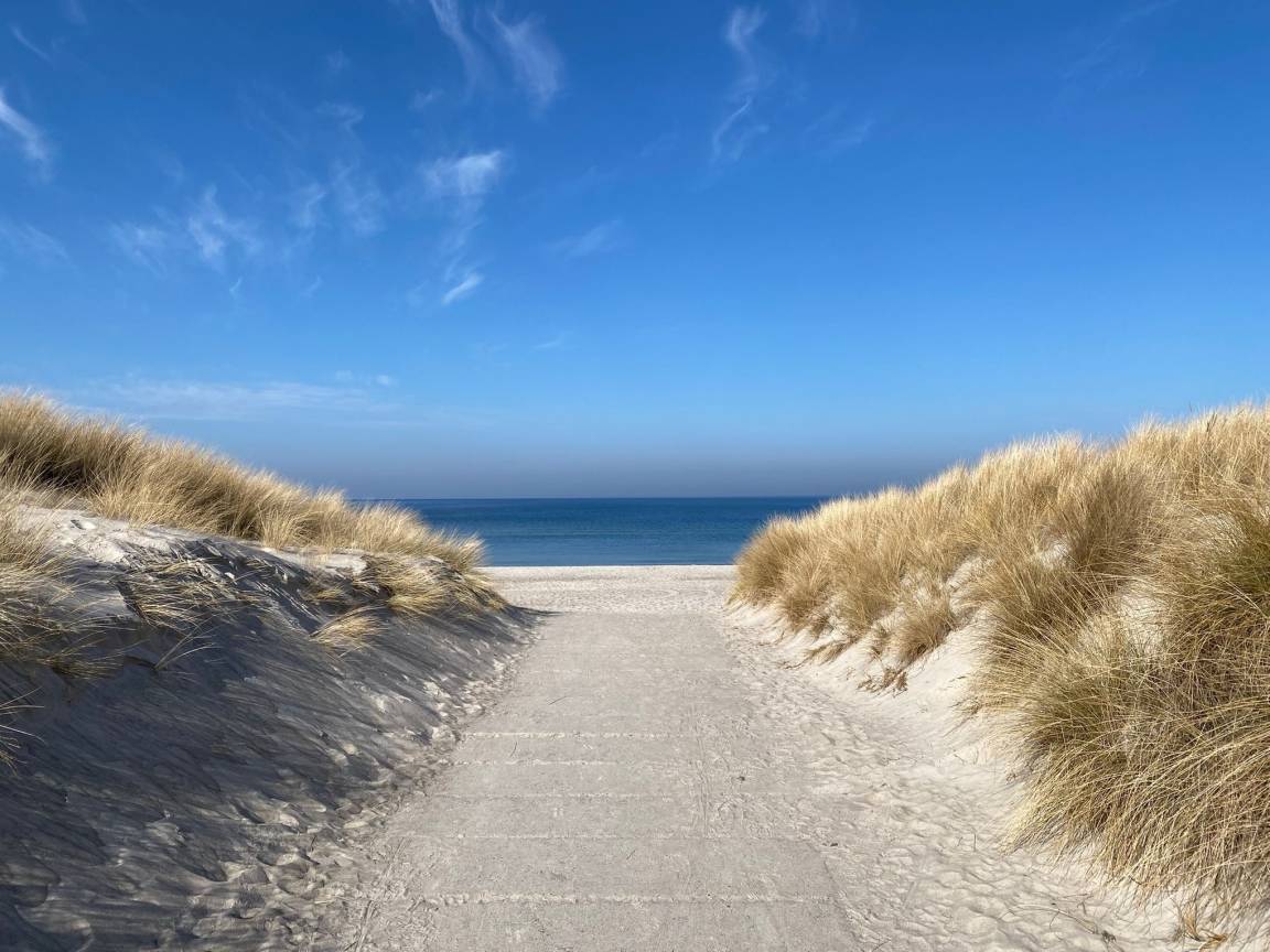foto41