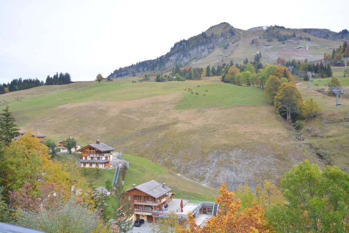 foto11