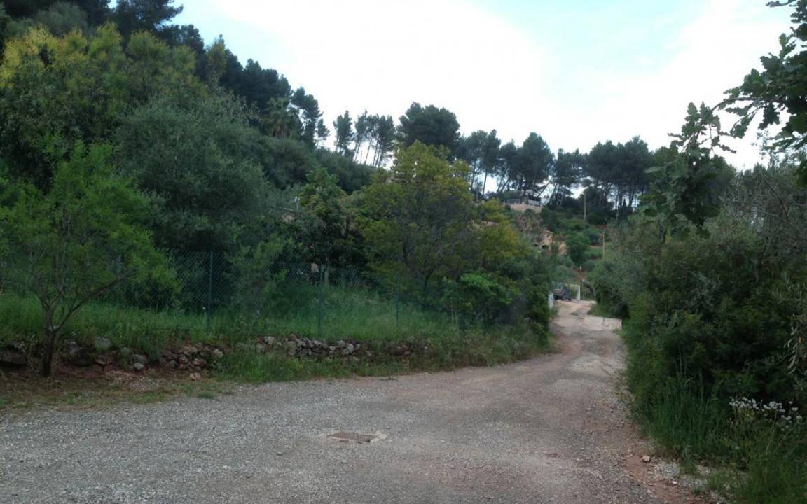 foto2