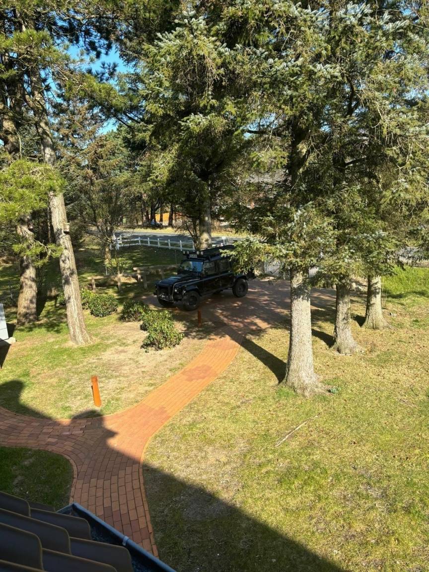 foto17