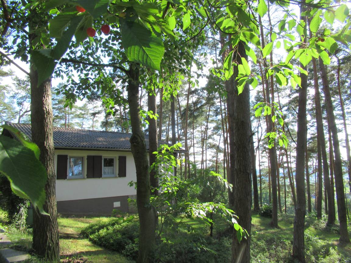 foto2