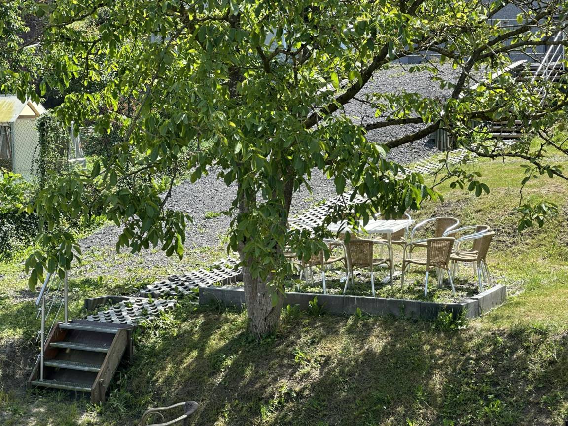 foto5