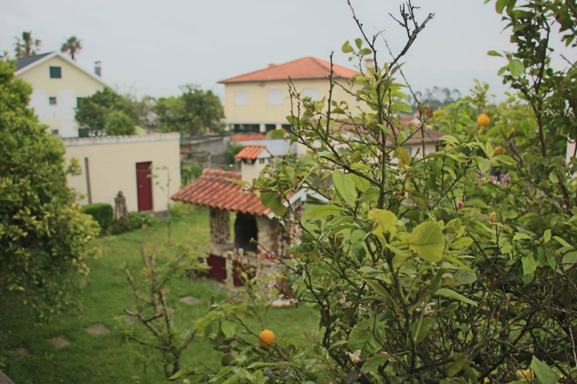 150 M² Cottage ∙ 3 Bedrooms ∙ 6 Guests - Portugal
