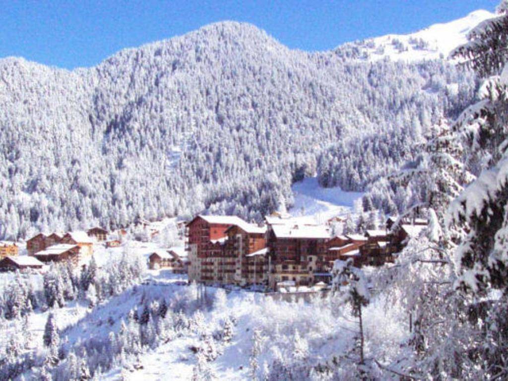 foto3