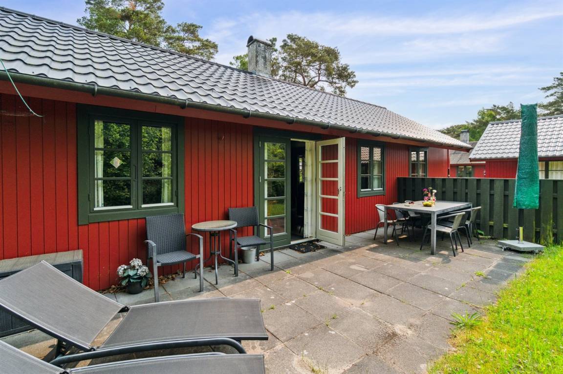 foto21