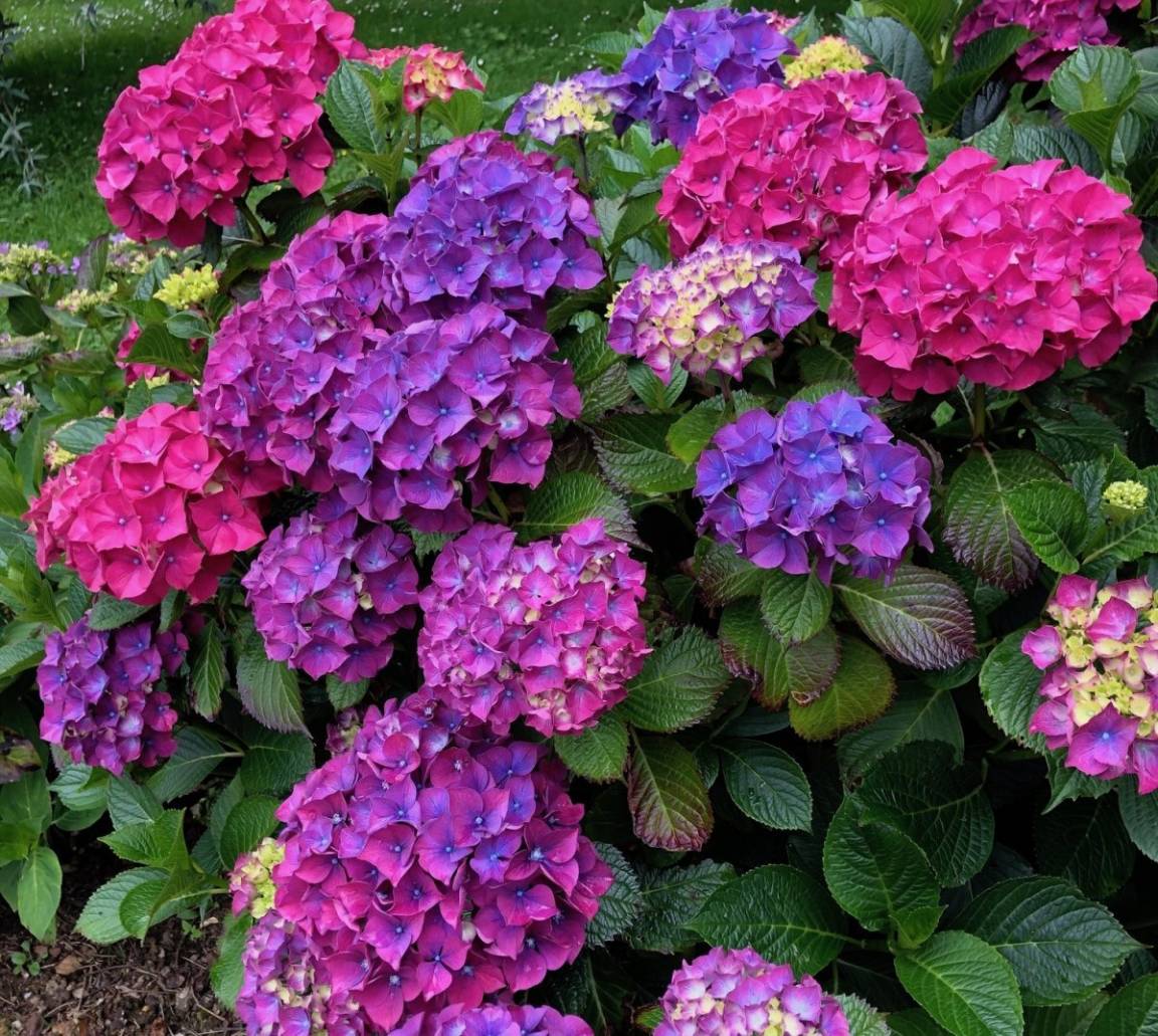 foto22