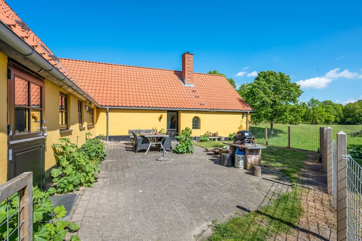 foto19