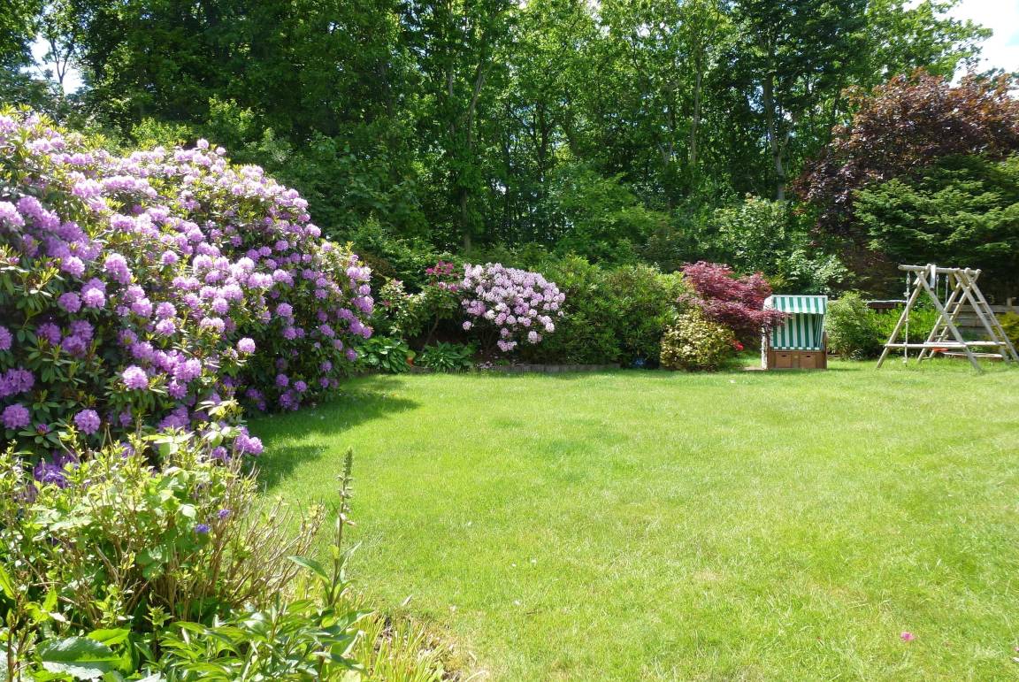 foto22