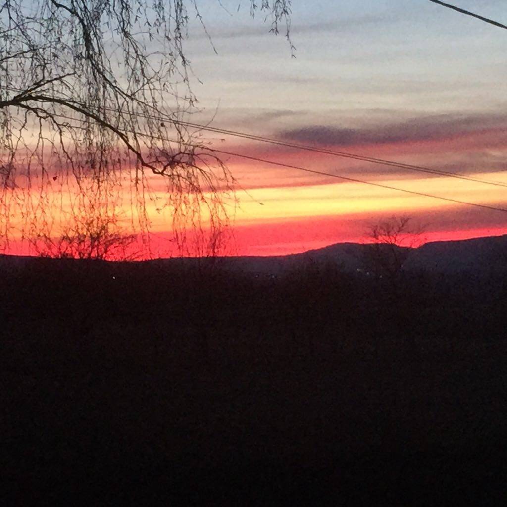 foto28