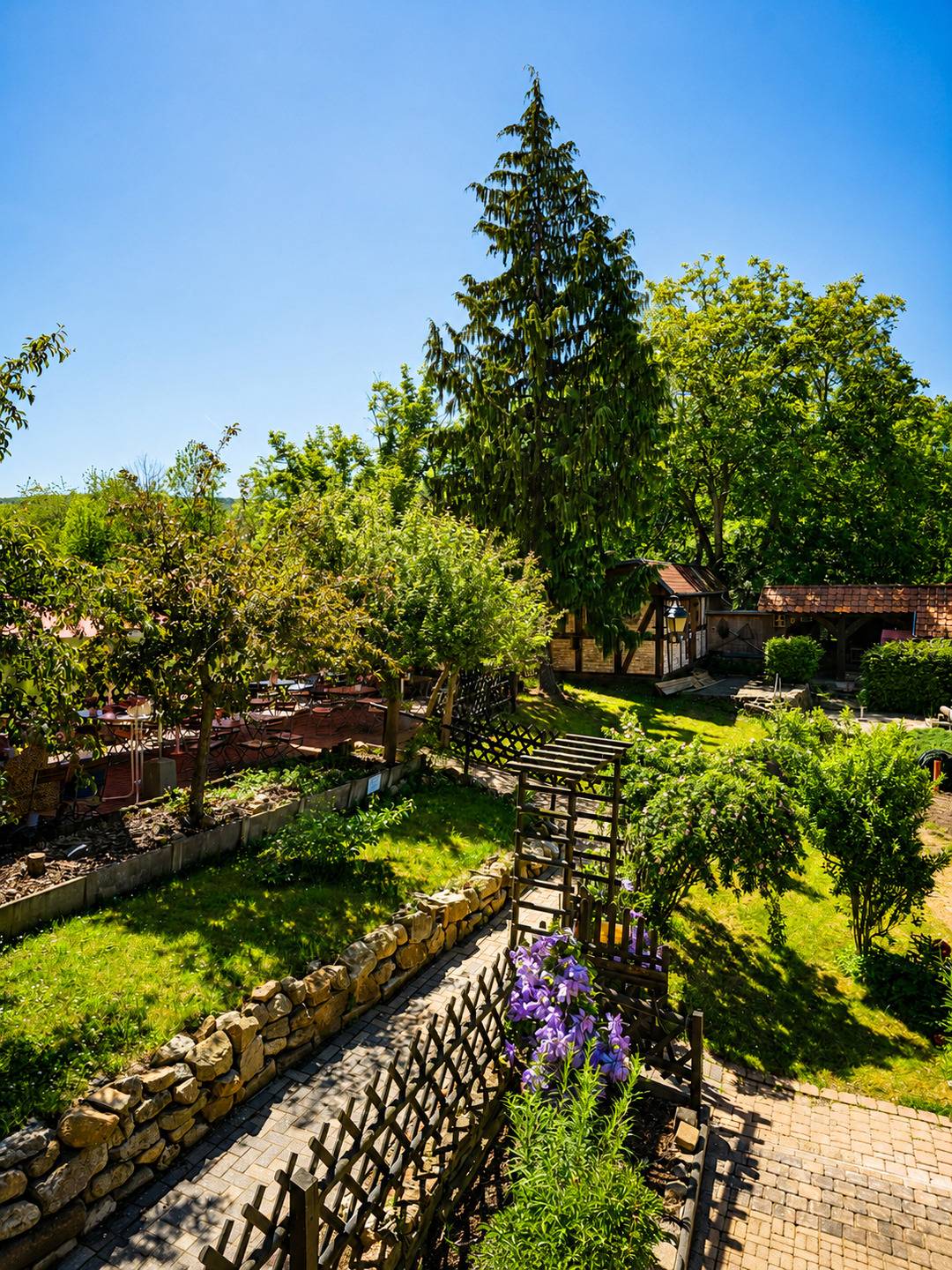 foto4