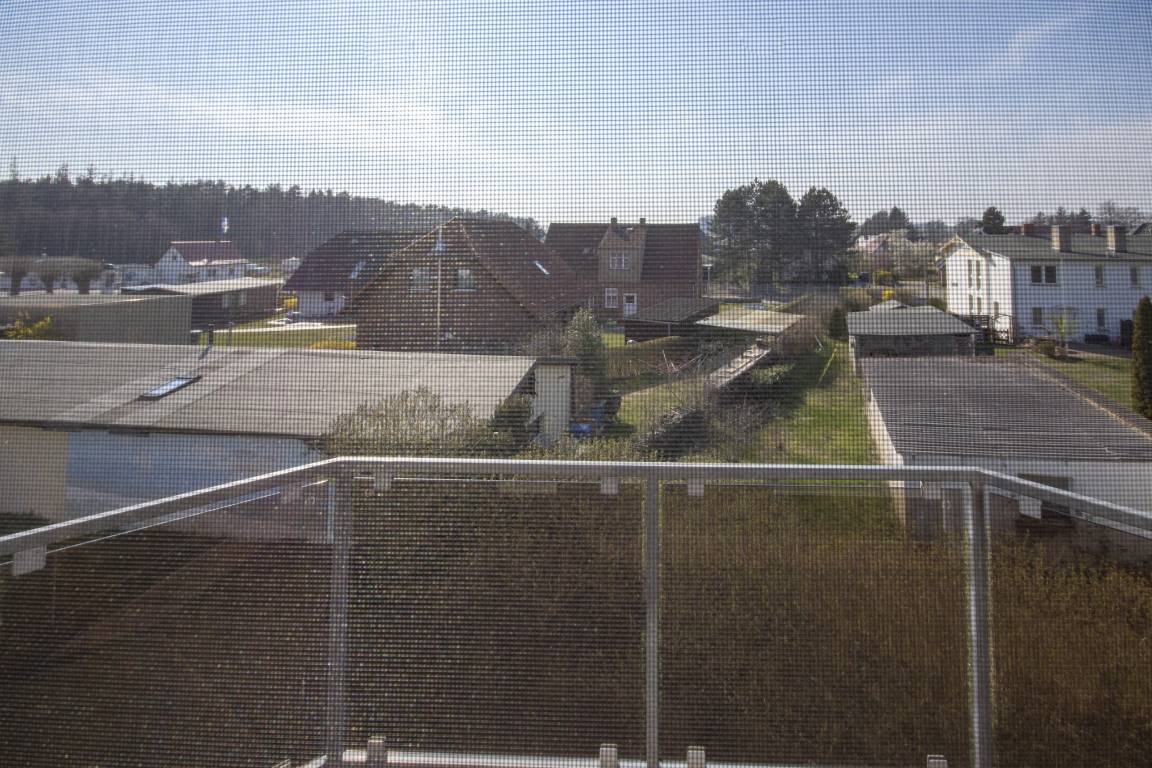 foto11