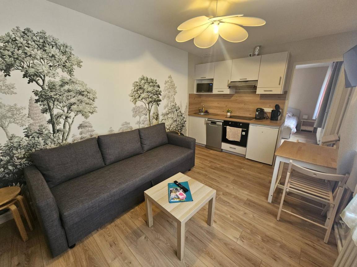 28 m&sup2; G&icirc;te 1 Schlafzimmer 2 G&auml;ste