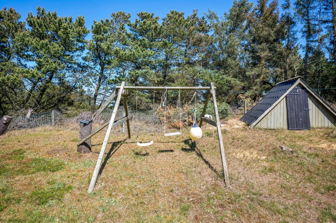 foto19