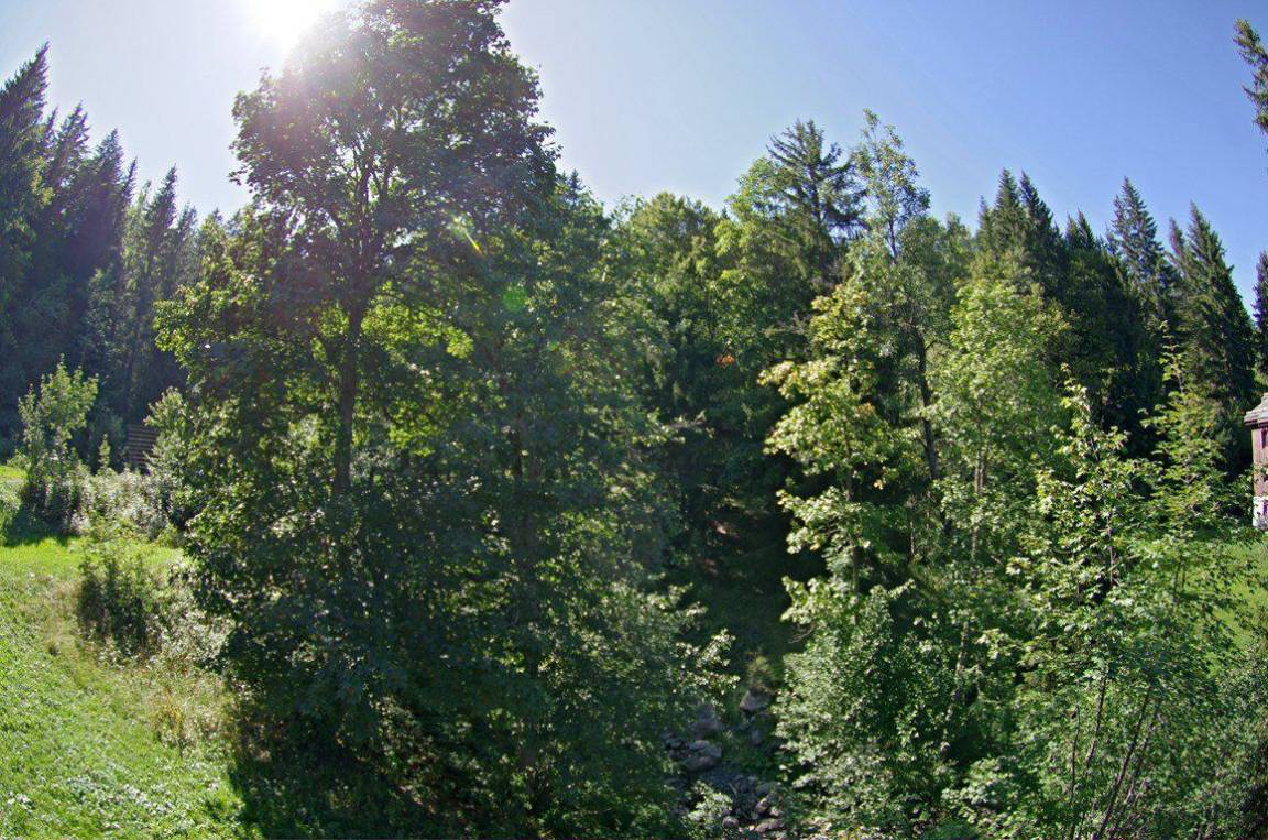 foto2