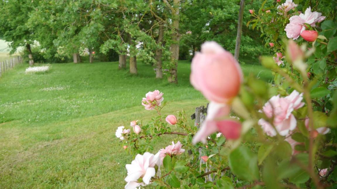 foto9