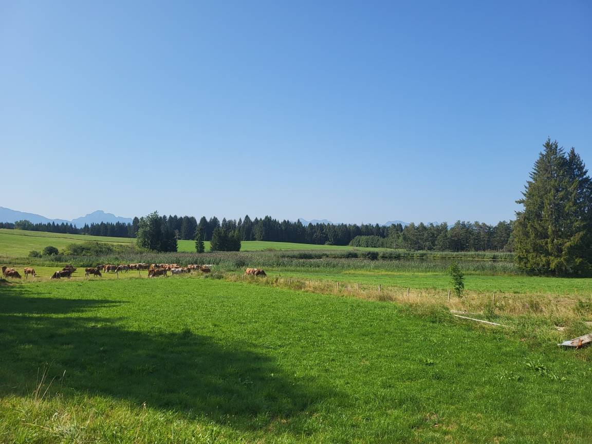foto24