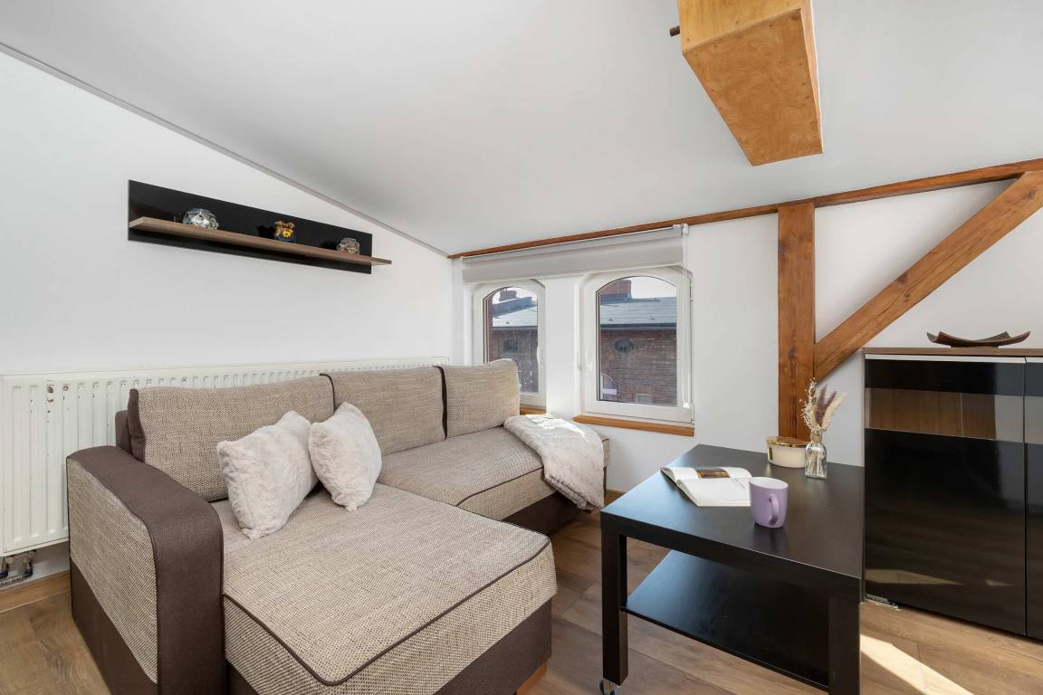 25 M² Huoneisto ∙ 2 Vierasta - Katowice