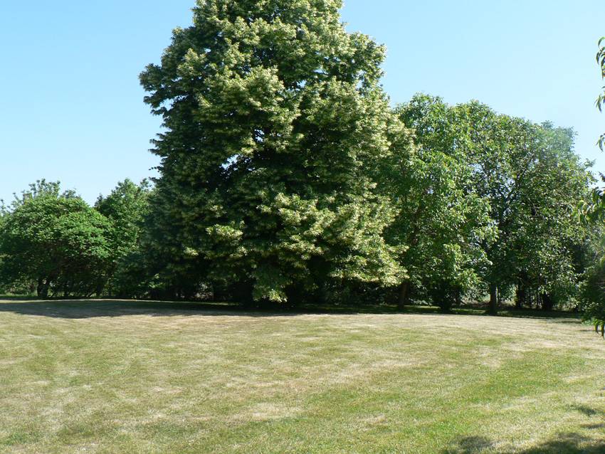 foto13