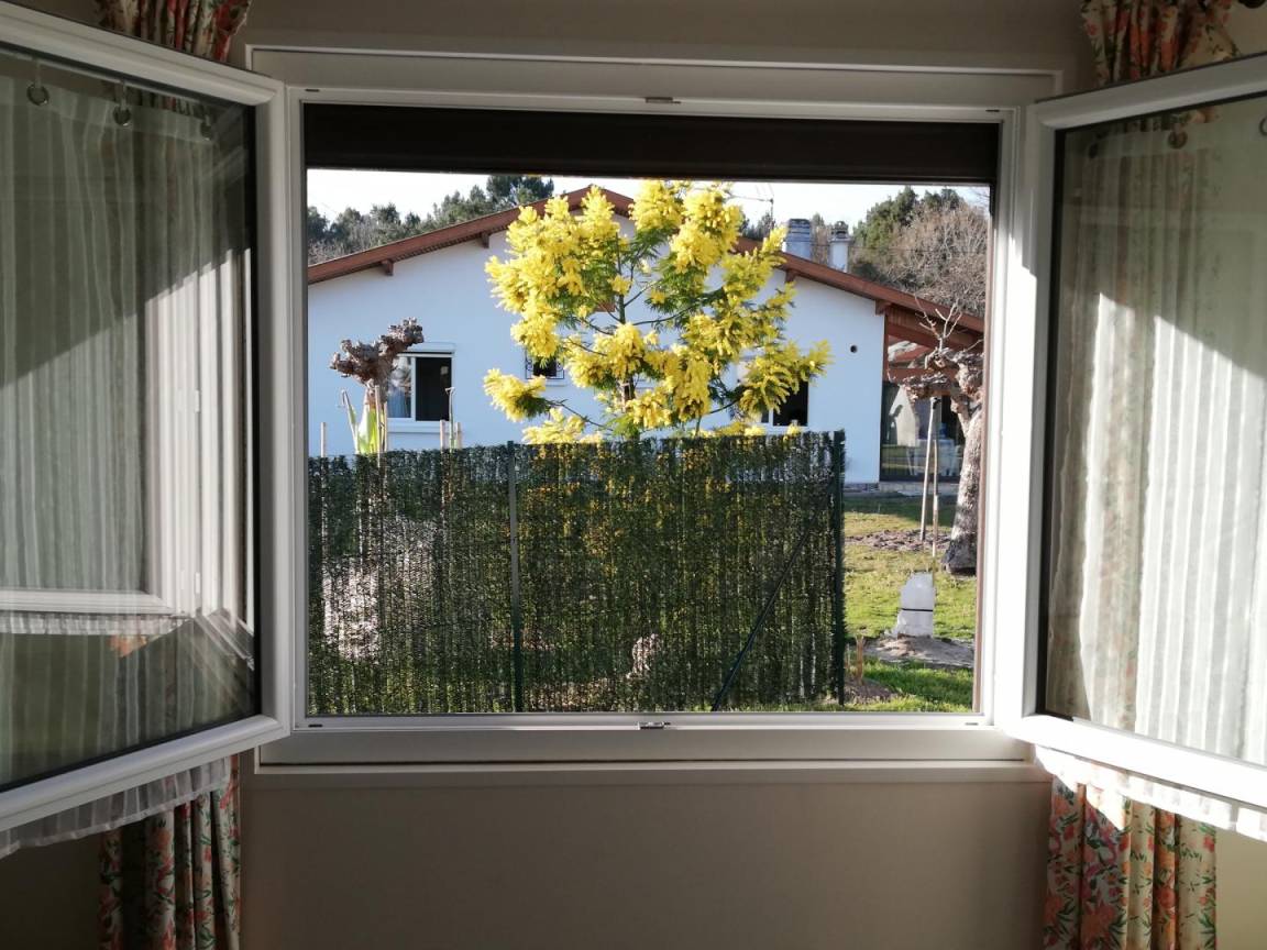 foto23