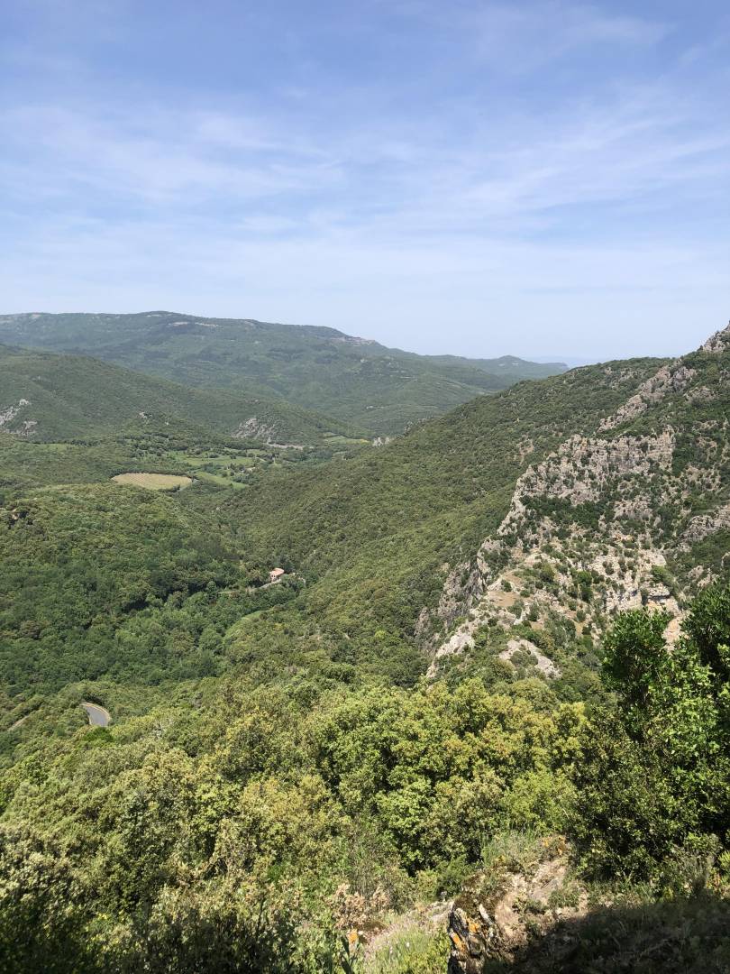 foto44