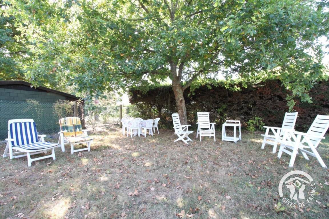 foto42