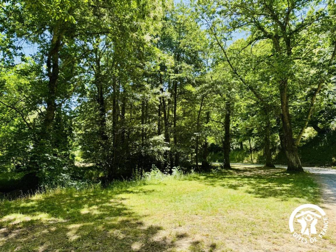 foto23