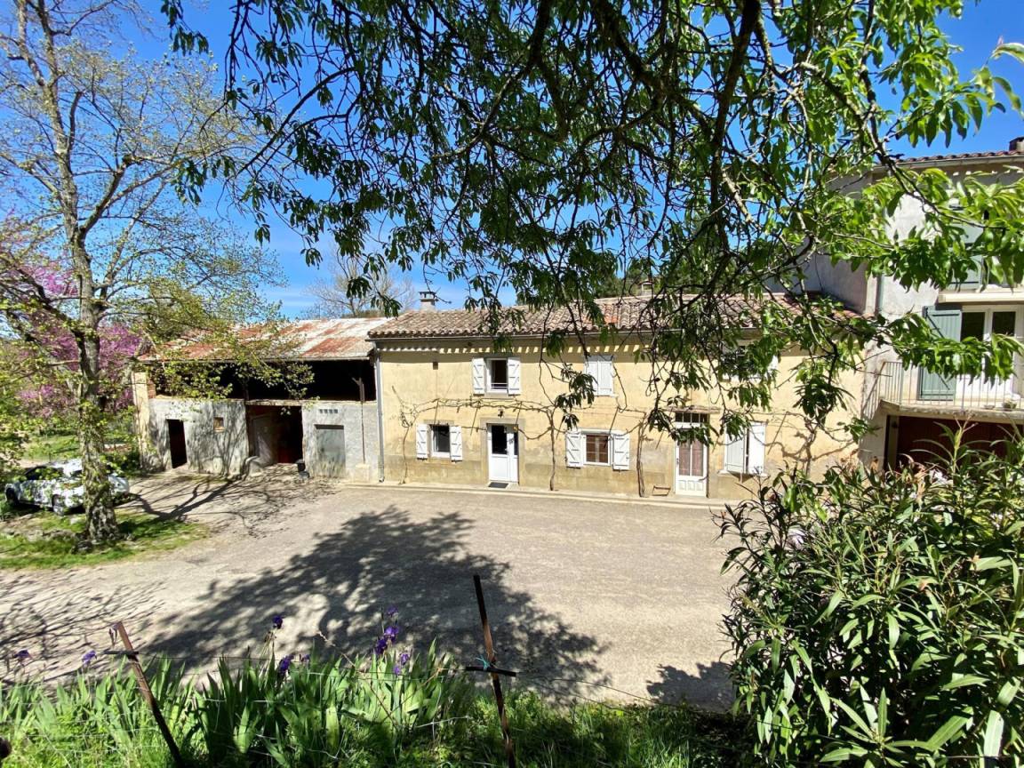 foto4