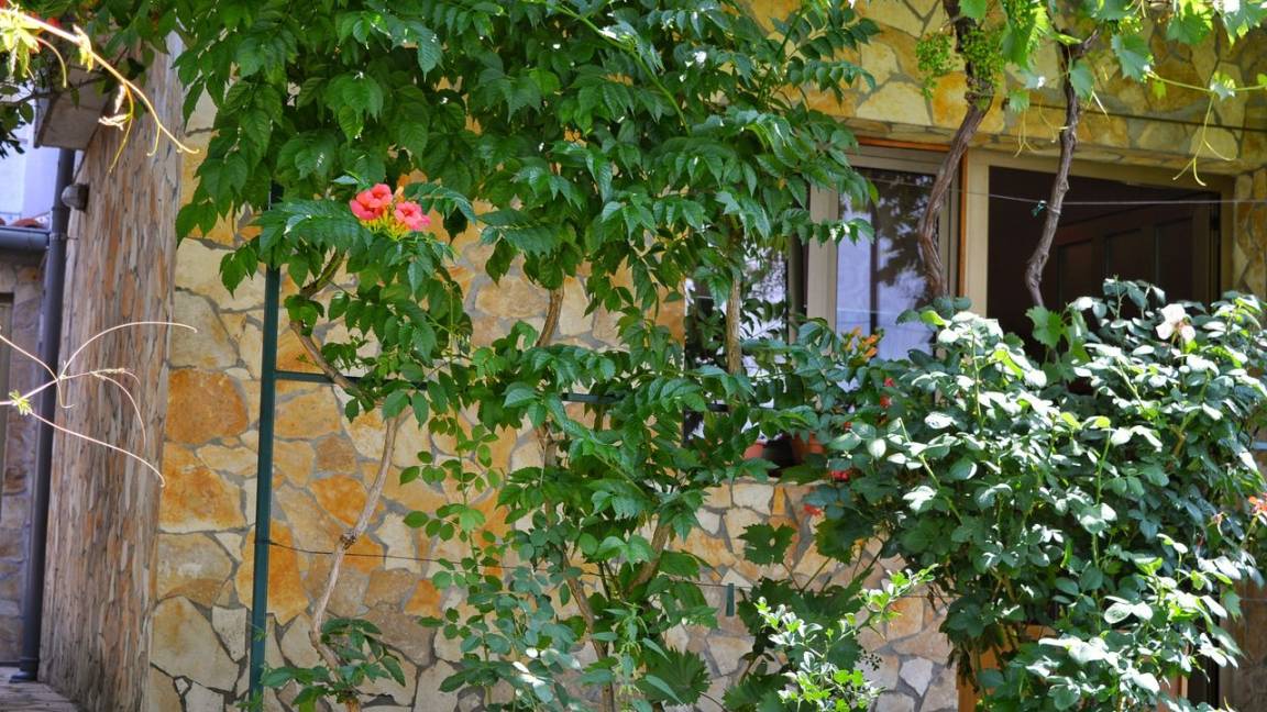 21 M² Hotel ∙ 1 Schlafzimmer ∙ 2 Gäste - Rijeka