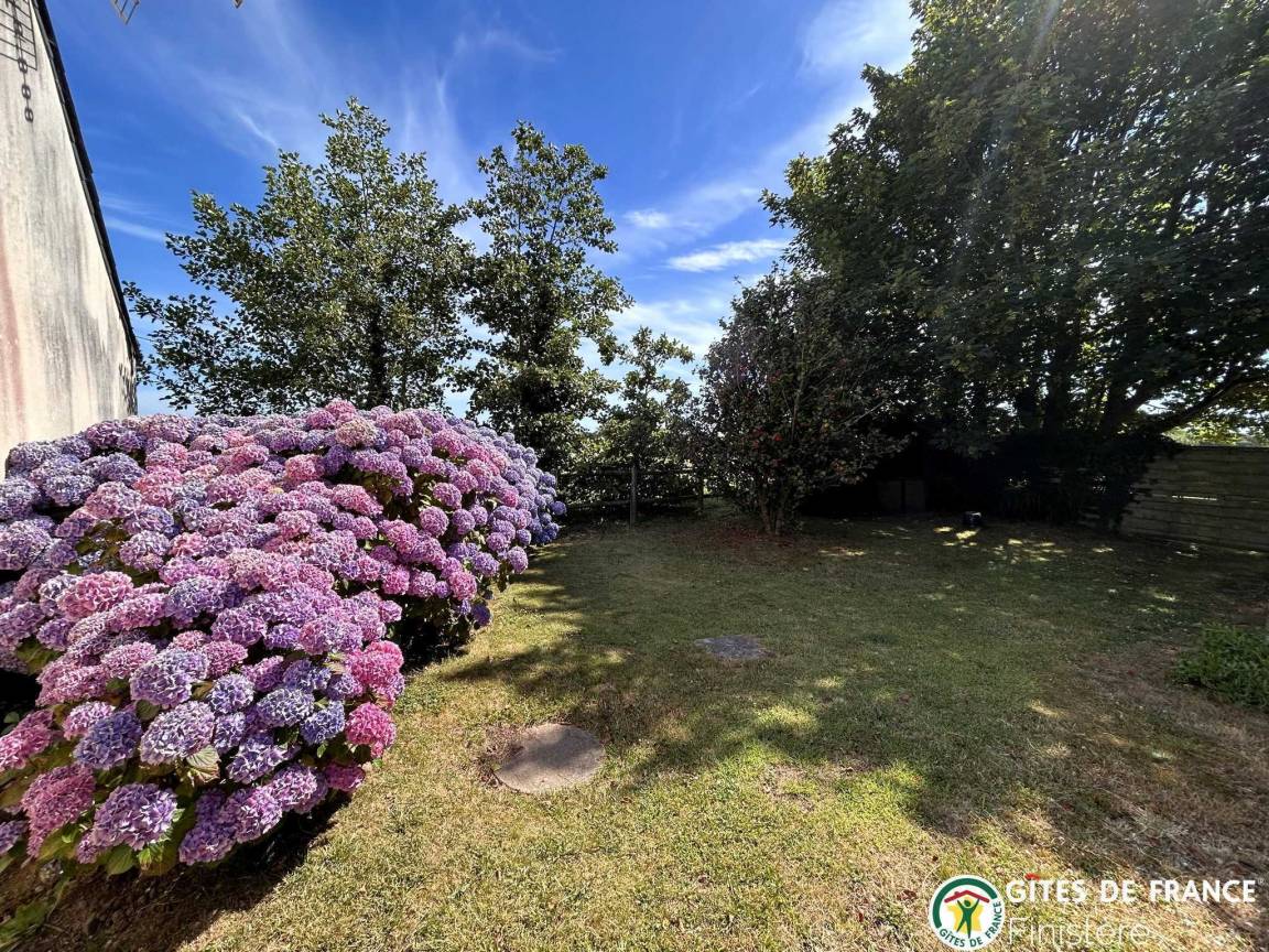 foto40