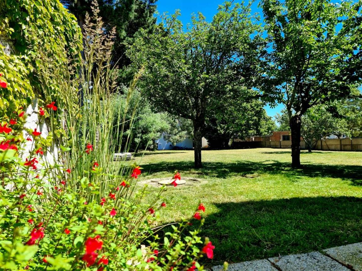 foto6