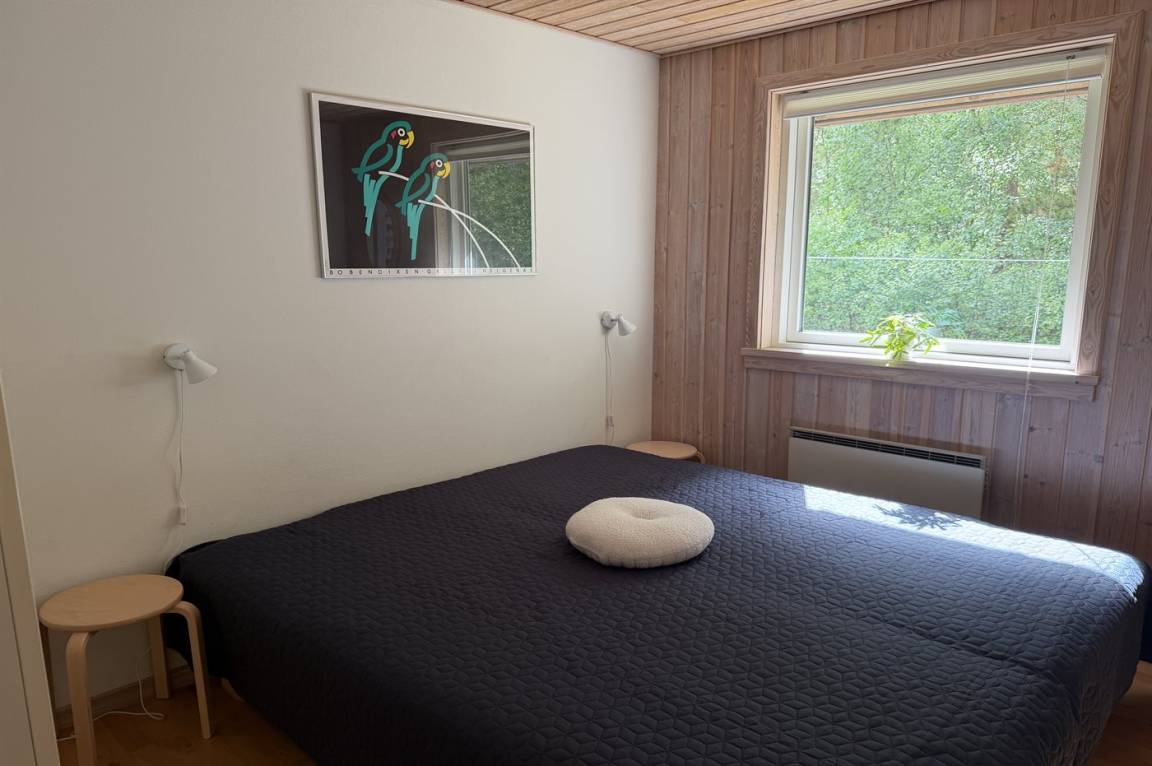foto2