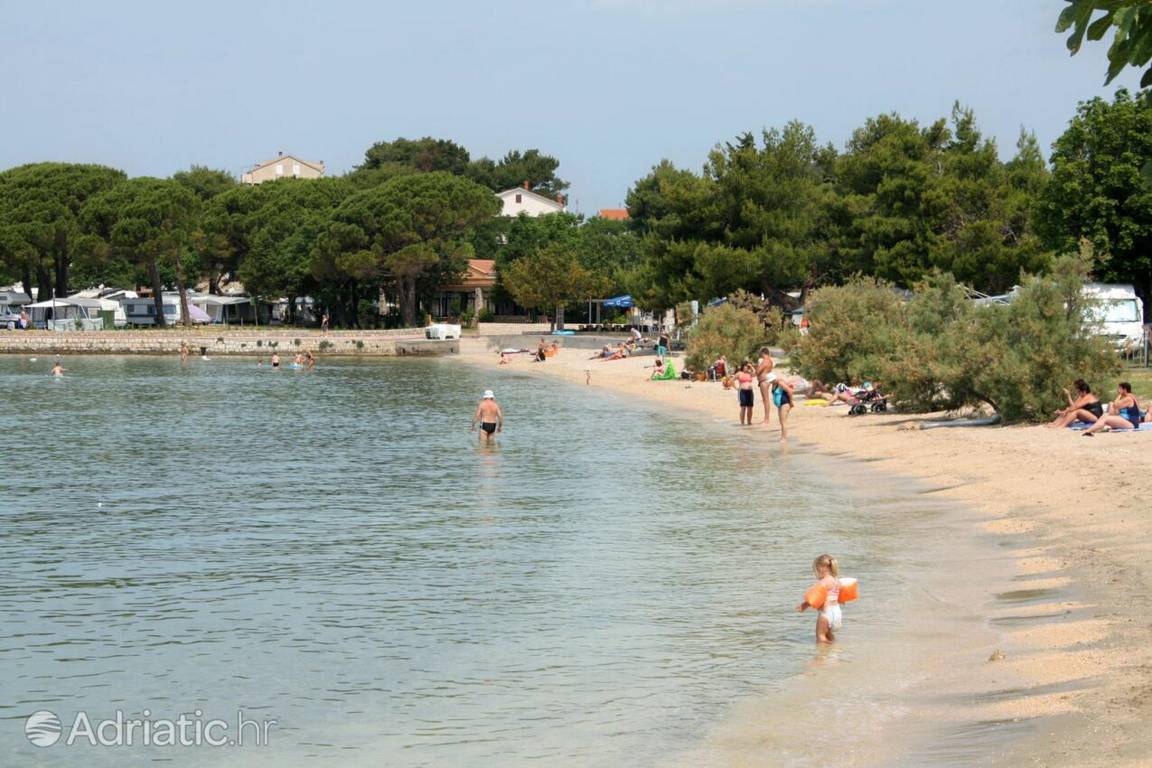 foto42
