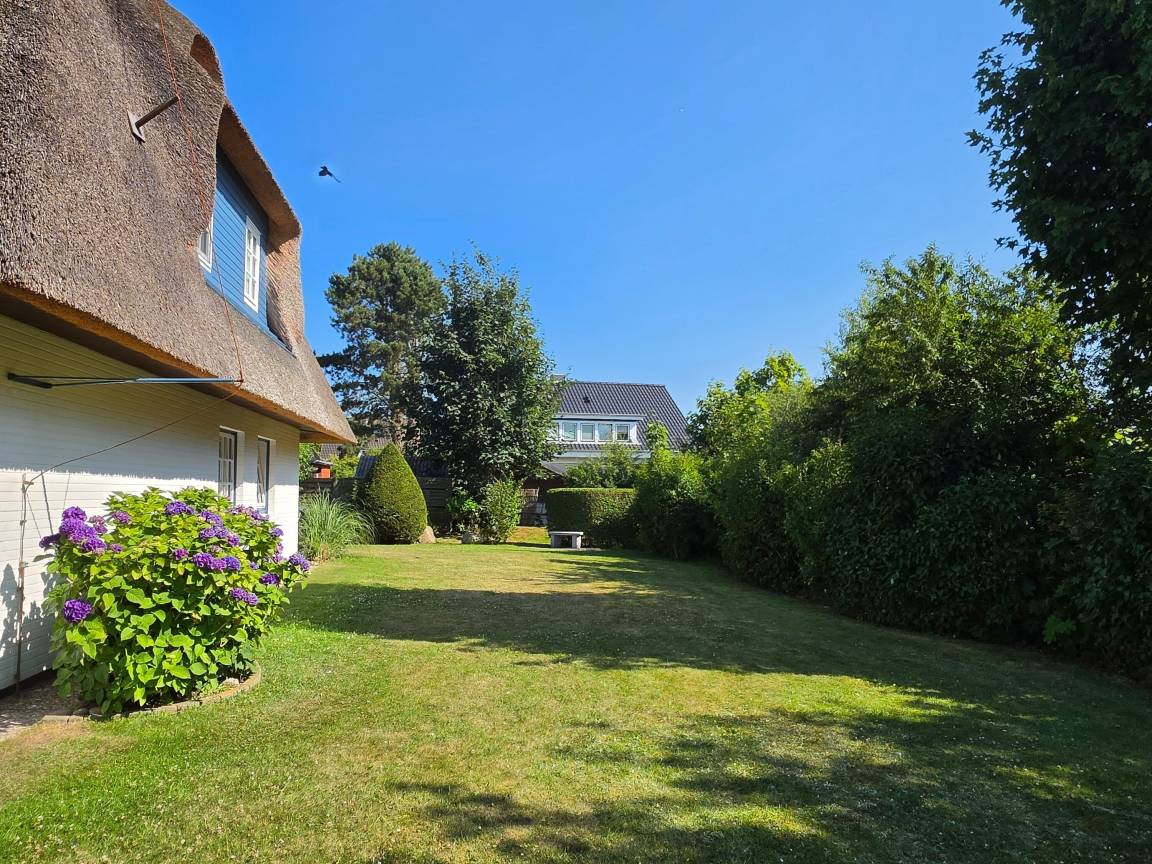 foto29