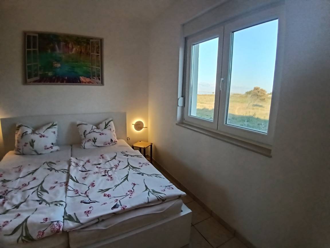 foto19